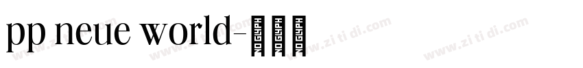 pp neue world字体转换 pp neue world字体转换